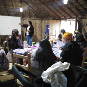 3.SERVICIOS Y CAPACITACIÓN EN CULTURA MAPUCHE